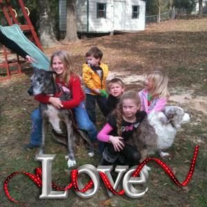 Meet your Posher, Frank